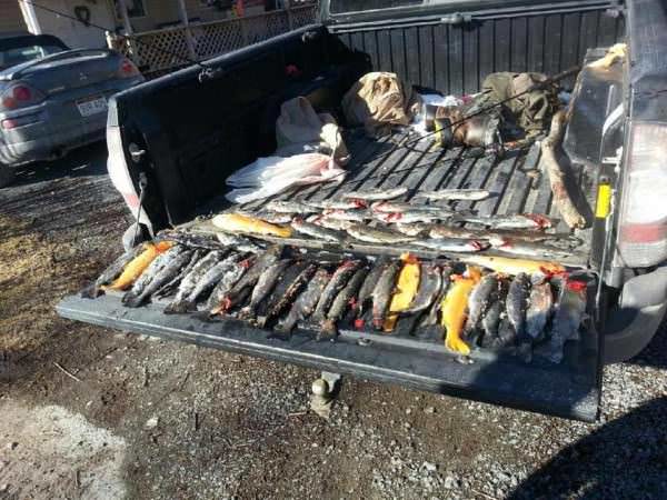 “Today's catch” Photo on Social Media Results in WVDNR Citations