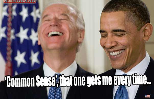 Obama Biden Common Sense