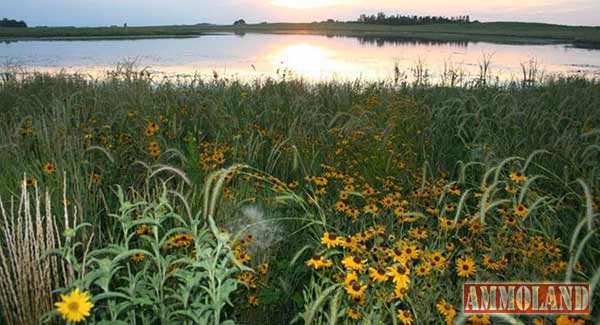 Border Prairie Region of Minnesota