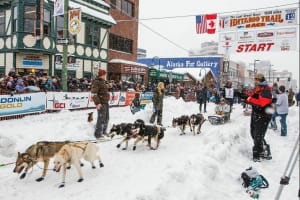 Photo credit: 2013 Jeff Schultz/Iditarod Trail Committee