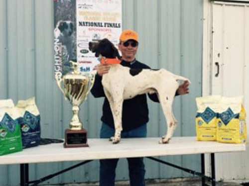 Virginia Bird Dog Wins NKC National Championships in Missouri