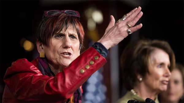 Gun Banner Rosa DeLauro