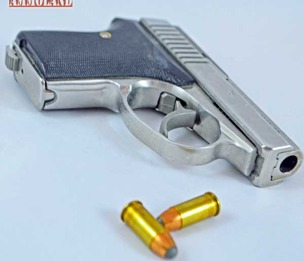 Seecamp 32 LWS Pistol