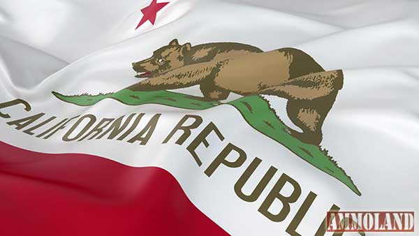 California State Flag