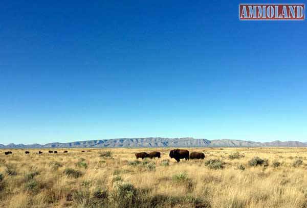 New Mexico