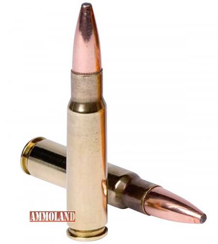 .338 Federal Ammunition