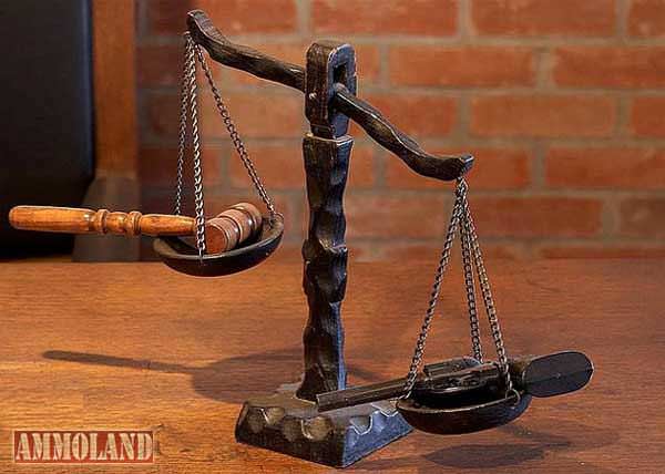 Gavel Lawsuit Courts Guns Justice