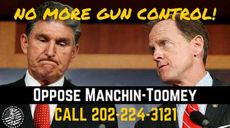 Joe Manchin and Pat Toomey