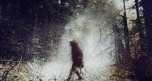Scary Woods Faceless Killer