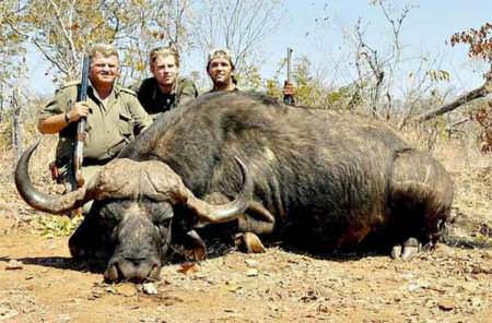 Donald Trump Jr., and Eric Trump pose for a picture with a dead Cape Buffalo in Africa.