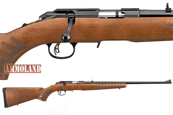 Ruger American Rimfire Rifle with Wood Stock