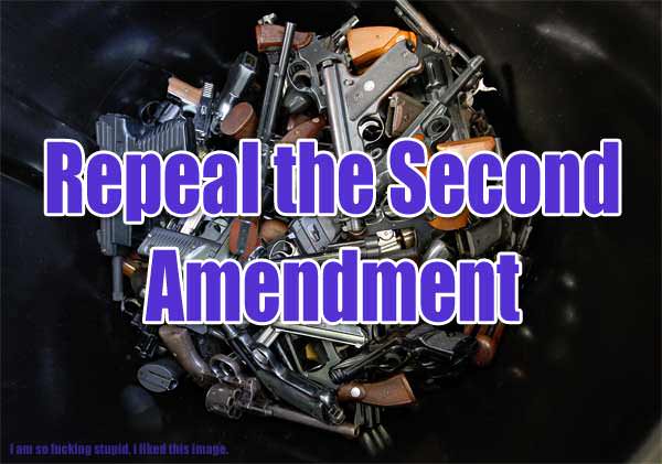 Repeal the Second Amendment