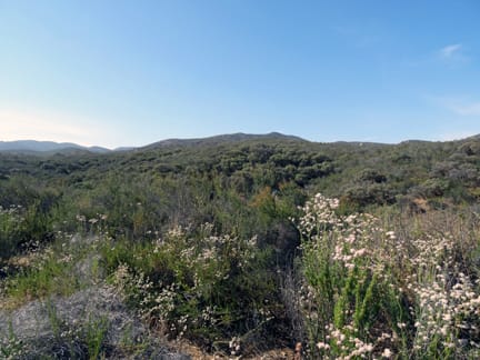 Scenic view of the property (Photo courtesy of the Western Riverside County Regional Conservation Authority)