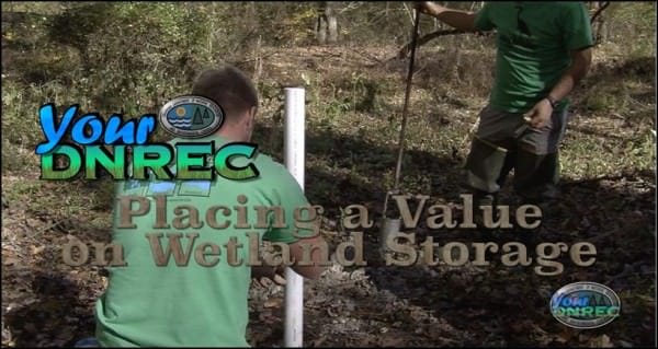 Video Shows How Wetland Storage Capacity is Being “Valued” by Delaware NREC