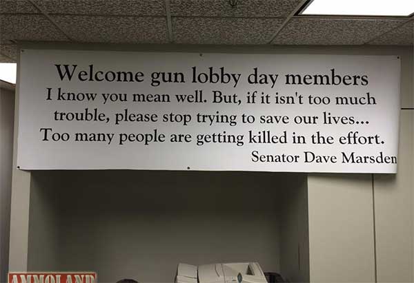 Anti-Gun Virginia Senator Dave Marsden Mocks Citizens Before Gun Lobby Day