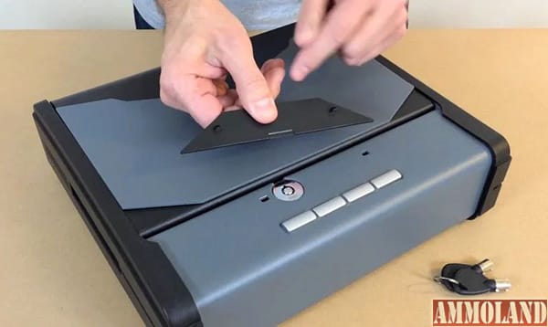 January's Gun Safe Fail - P20 Security Safe