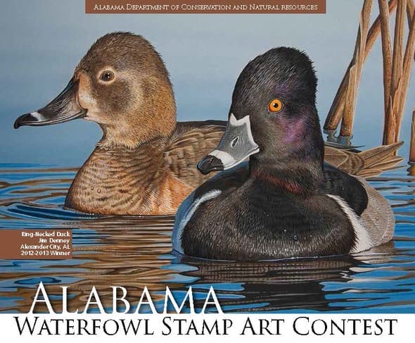 2016 Alabama Waterfowl Stamp Art Contest Now Open
