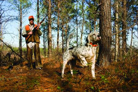 March Issue of Game & Fish Sportsman is for the dogs