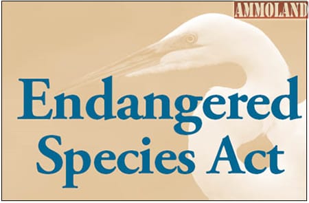 Endangered Species Act (ESA)