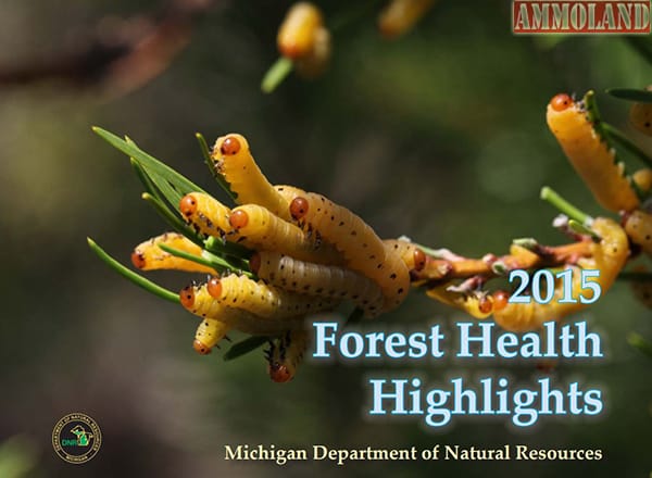 The 2015 Forest Health Highlights report is a summary of the condition of Michigan's forests during the past year and the work done to preserve and protect them by the Michigan Department of Natural Resources.