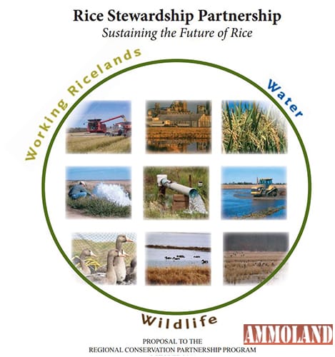 Rice Stewardship Program