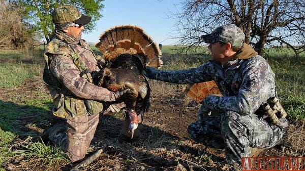 Doug Koenig - Kansas Turkey