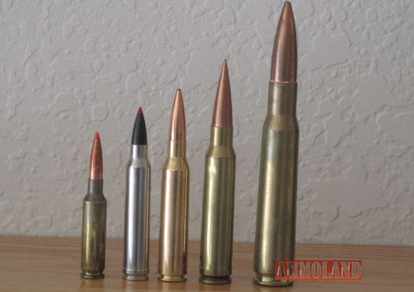 The Long Range Cartridges Line up : right 50 BMG, next 408 Chey Tac, next 338 Lapua, next 300 Win Mag, end left 6.5 Creedmoor.