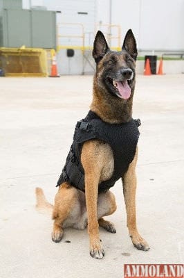 Protech Tactical - Bark-9 Carrier for Today's Canine Officer