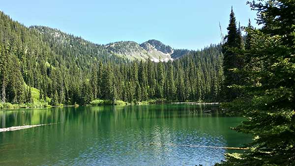 Red, White & Blue Wyoming is Very Green and a Great Place to Visit