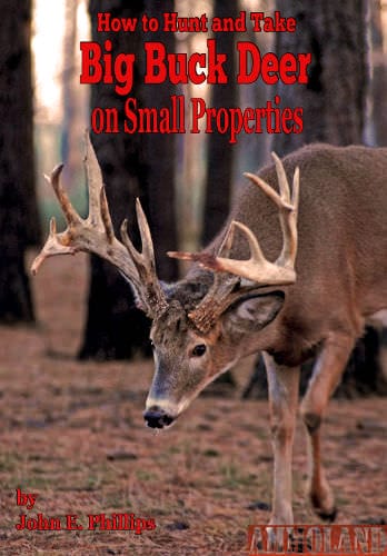 How to Hunt and Take Big Buck Deer on Small Properties