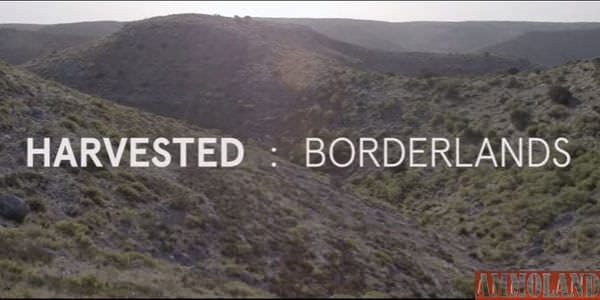 New Harvested: Borderlands Video