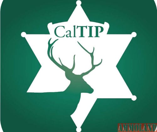 CalTIP