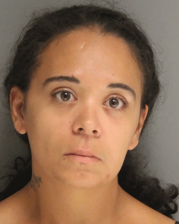 Yolanda Bowden, 32, was arrested on an assortment of charges that included six felonies and four misdemeanors related to the incident. Charges included burglary third degree; possession of burglary tools; forgery second-degree; unlawful use of a credit card; criminal mischief; theft, and possession of drug paraphernalia.