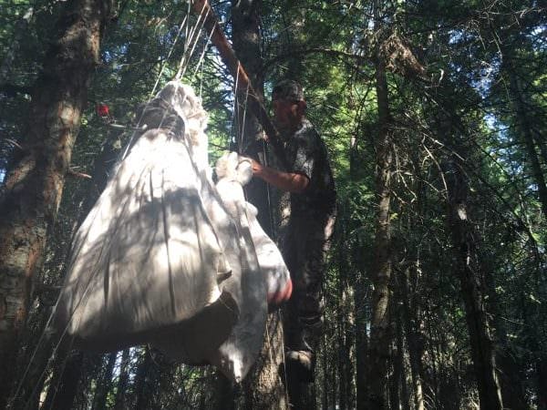 From the early morning chill to the heat of the day comfort, Sitka is what I use in the wild.