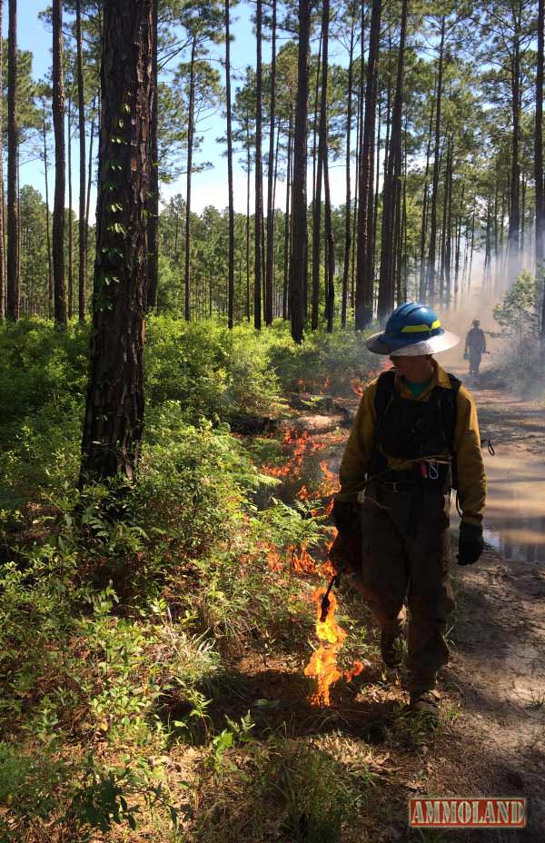 The Georgia Prescribed Fire Council will explore the vital role of prescribed burning done right at its annual meeting Sept. 29 in Tifton.