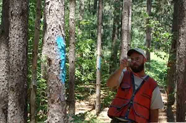 Michigan Department of Natural Resources forester Andrew Hallfrisch, of the Cadillac DNR office, uses a prism to determine the volume of wood in an area while prepping it for a Good Neighbor Authority timber harvest.