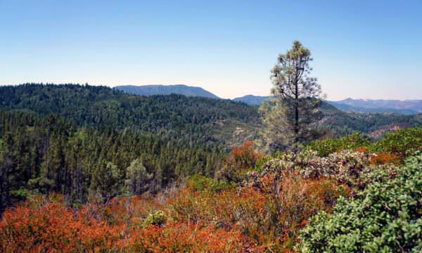 Managed forest lands, riparian corridors and watersheds on Montesol Ranch that support rare and special status wildlife species and vegetation near Calistoga in Napa County.