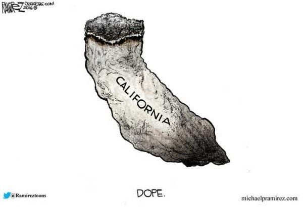 California Votes to Legalize Marijuana
