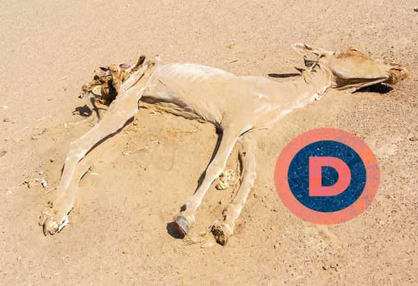 Dead Democrat Donkey