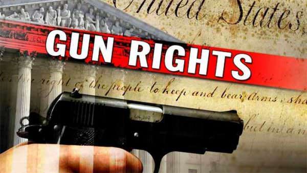 Gun Rights Court