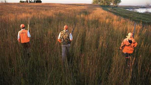 Hunters Hunting Orange Shotguns