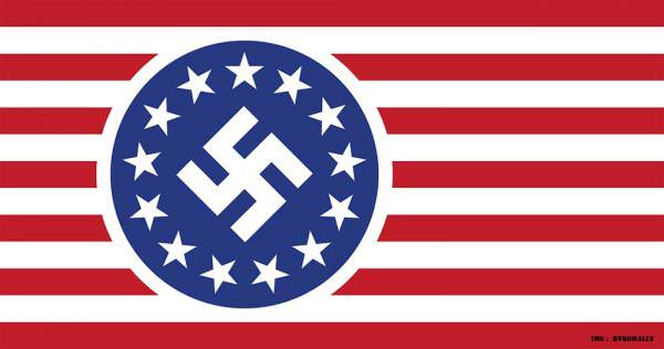 Nazi American Flag