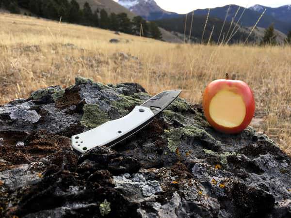 The James Brand Folsom Knife Apple