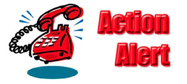 Action Alert