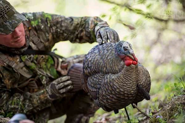 Avian-X LCD 1/2 Strut Jake Turkey Decoy