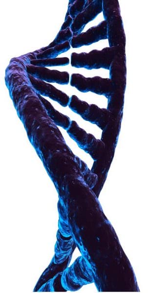 DNA