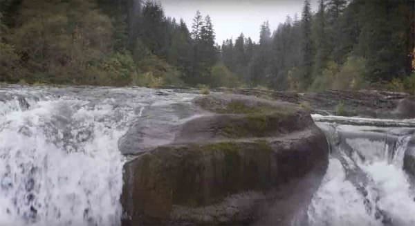 Frank and Jeanne Moore Wild Steelhead Sanctuary Act would protect approximately 100,000 acres, conserve legendary fishery, and valuable riparian wildlife habitat.