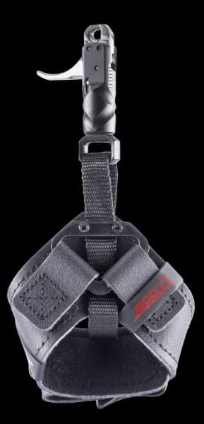 Scott Archery Echo