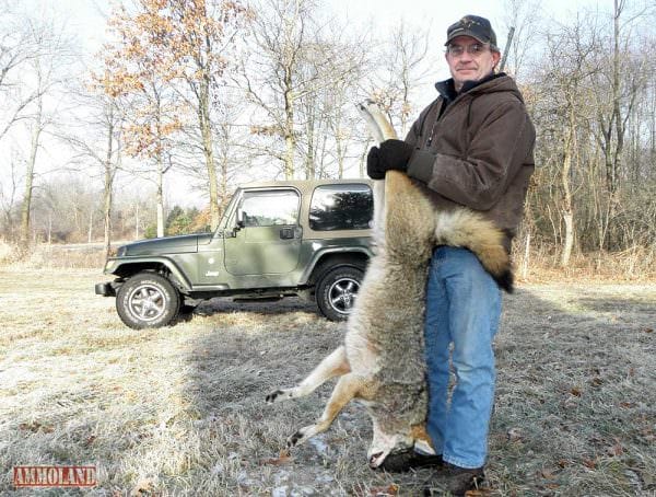 Successful Fawn Killer, Coyote Hunting, from a Fixed Blind