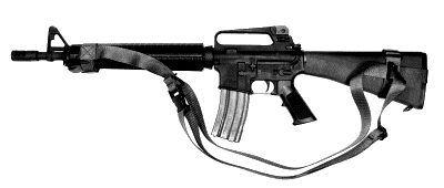 Is it Time to Buy an AR?
